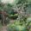 Chicago Botanic Gardens, Walled English Garden